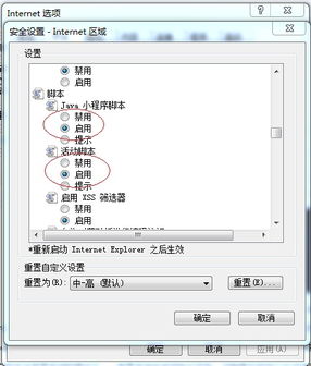 公司服務器共享文件設置、管理與審計綜合指南